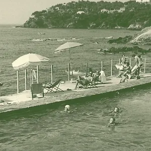 Hotel Hotel Le Provencal A Giens - Bord De Mer